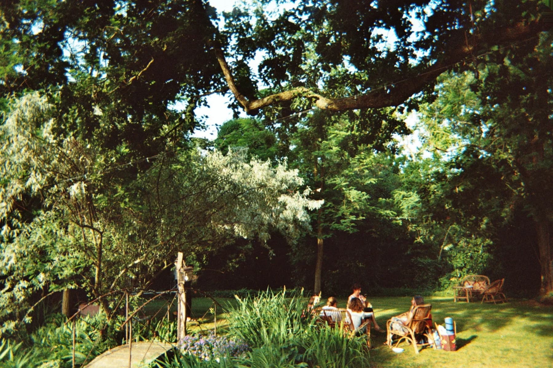 Fotografia analogica · Divenire 30 maggio 2026