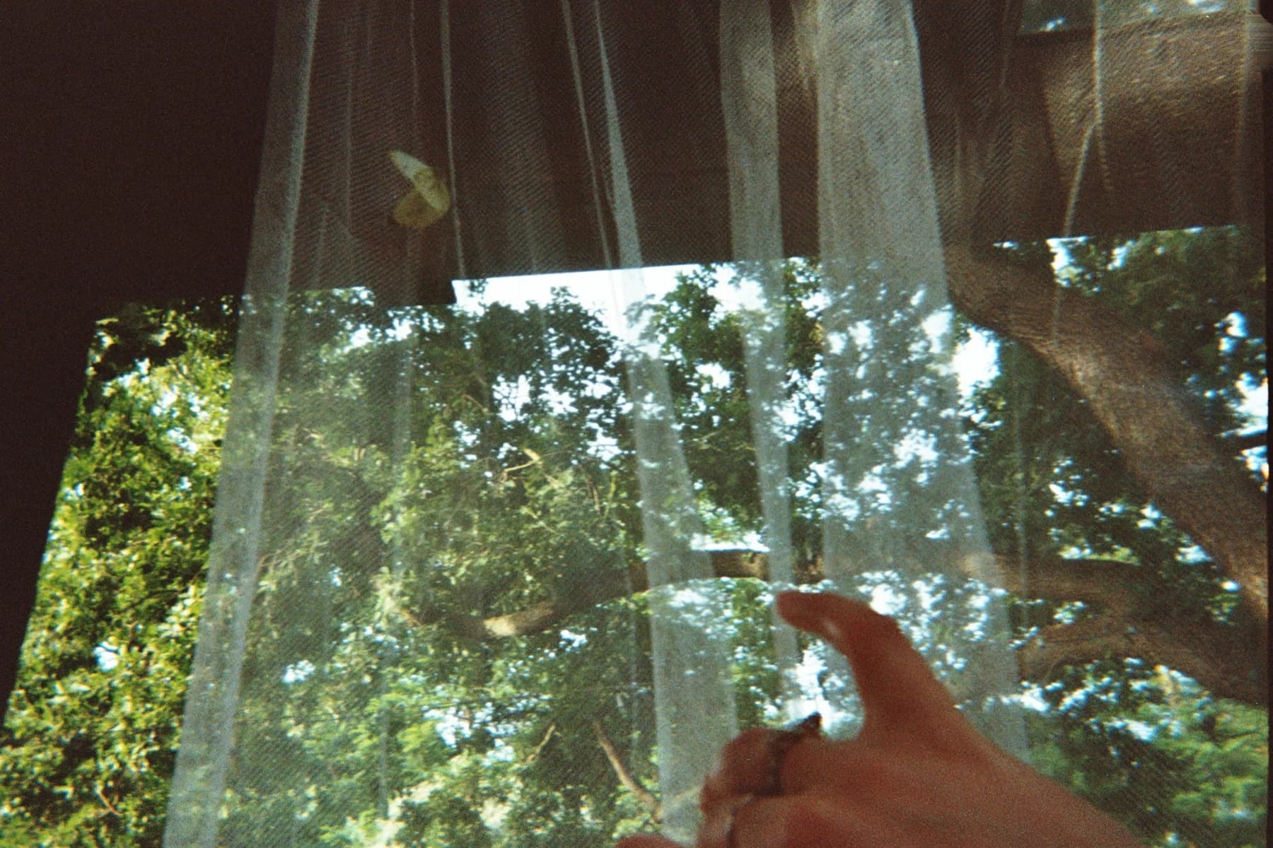 Fotografia analogica · Divenire 30 maggio 2026