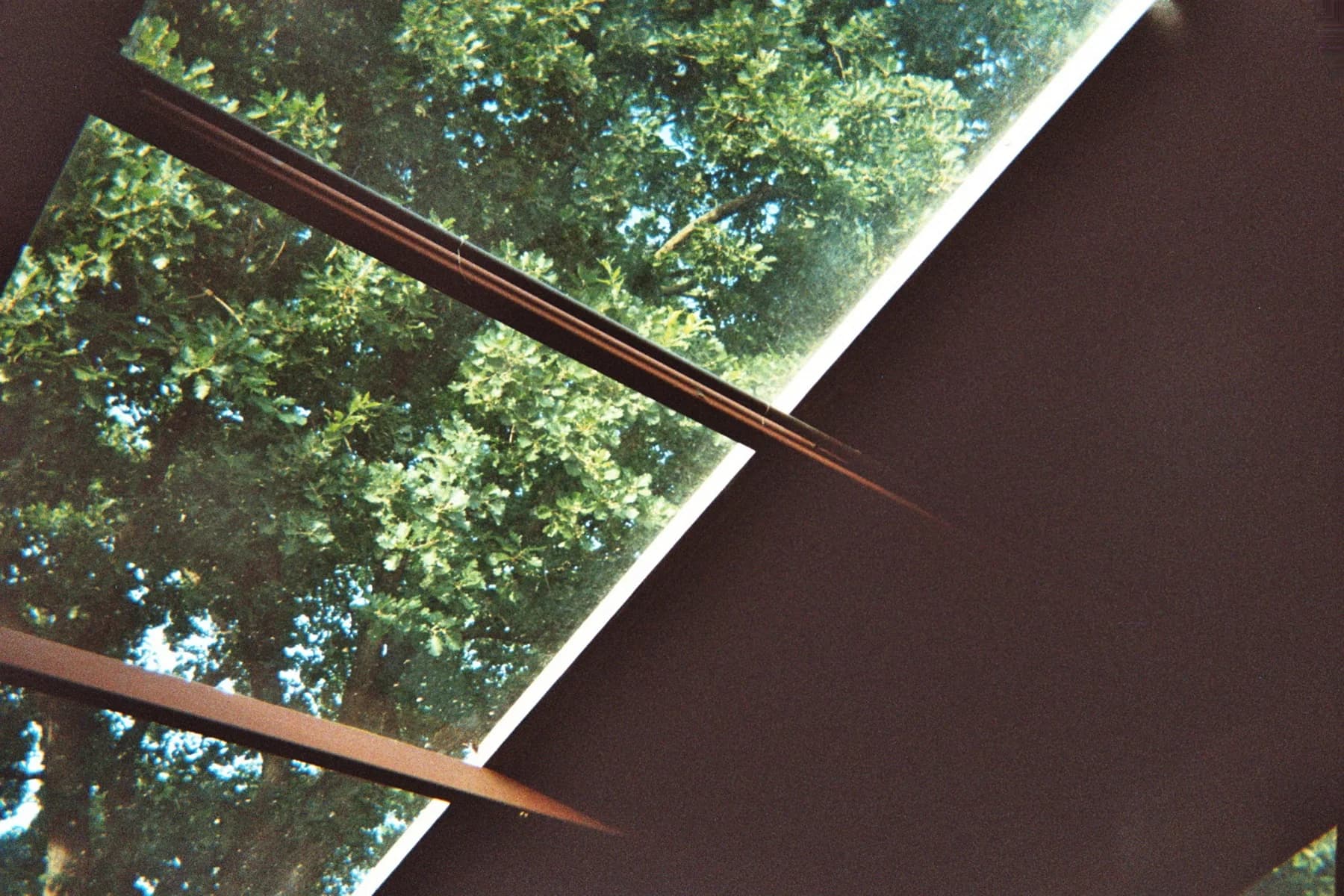 Fotografia analogica · Divenire 30 maggio 2026