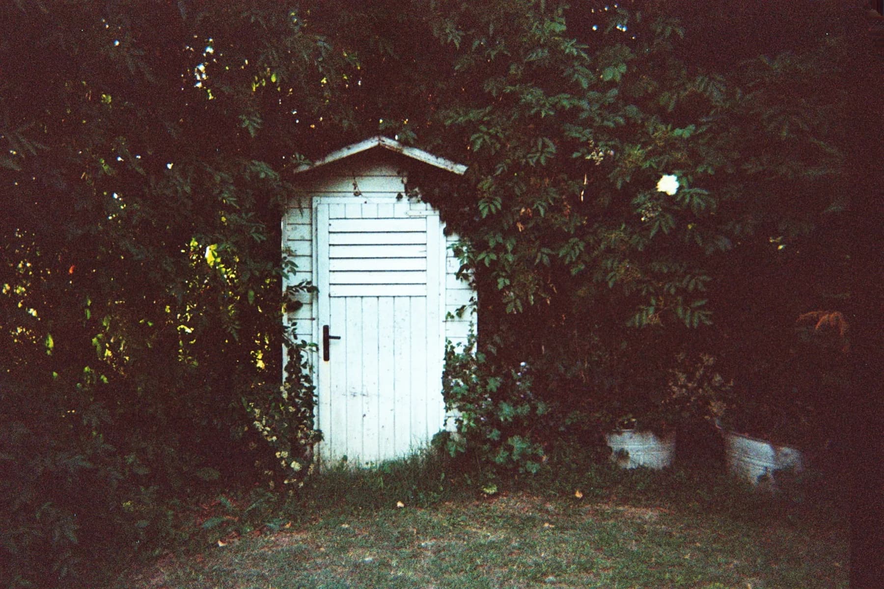 Fotografia analogica · Divenire 30 maggio 2026