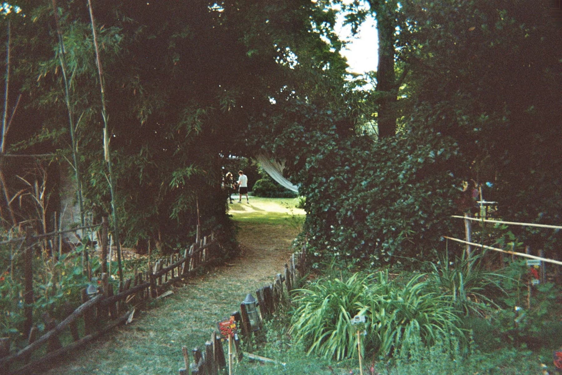 Fotografia analogica · Divenire 30 maggio 2026