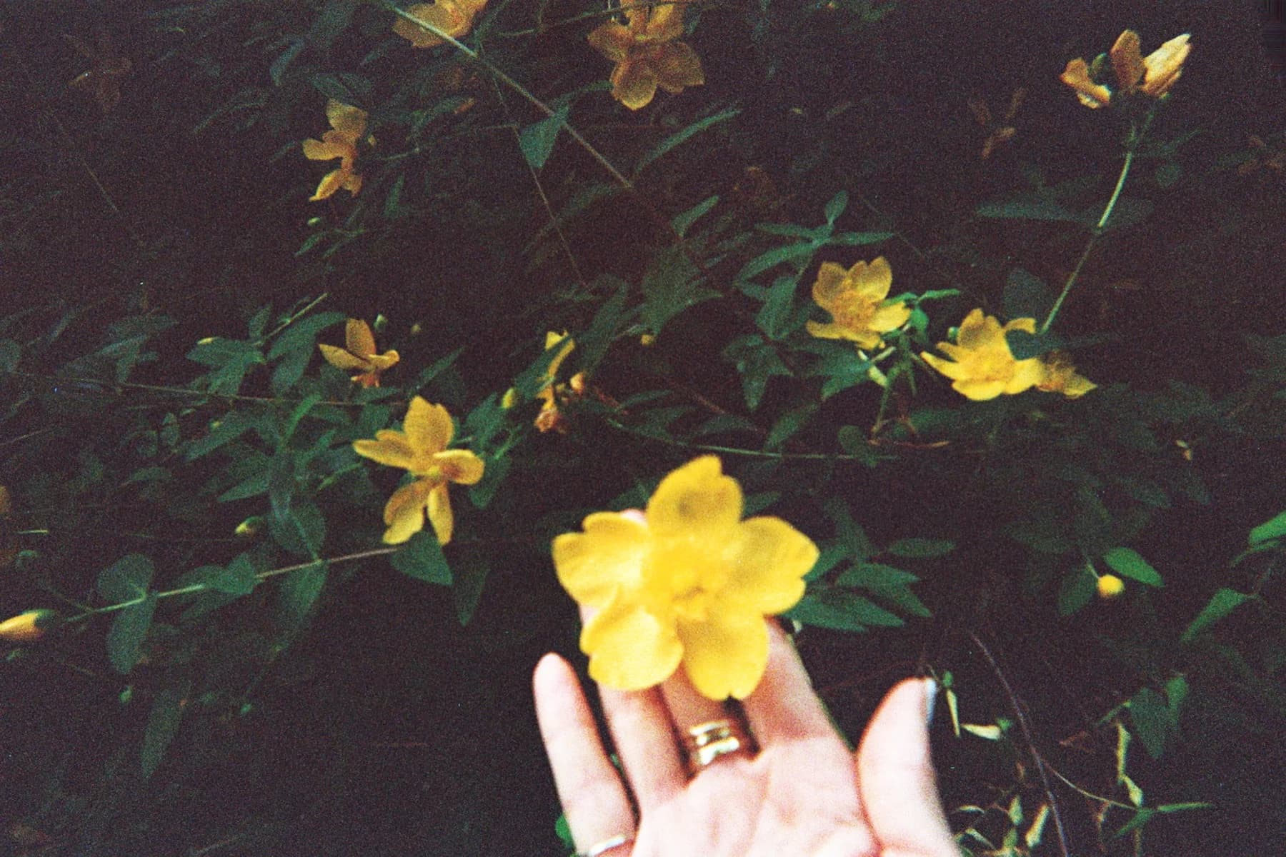 Fotografia analogica · Divenire 30 maggio 2026