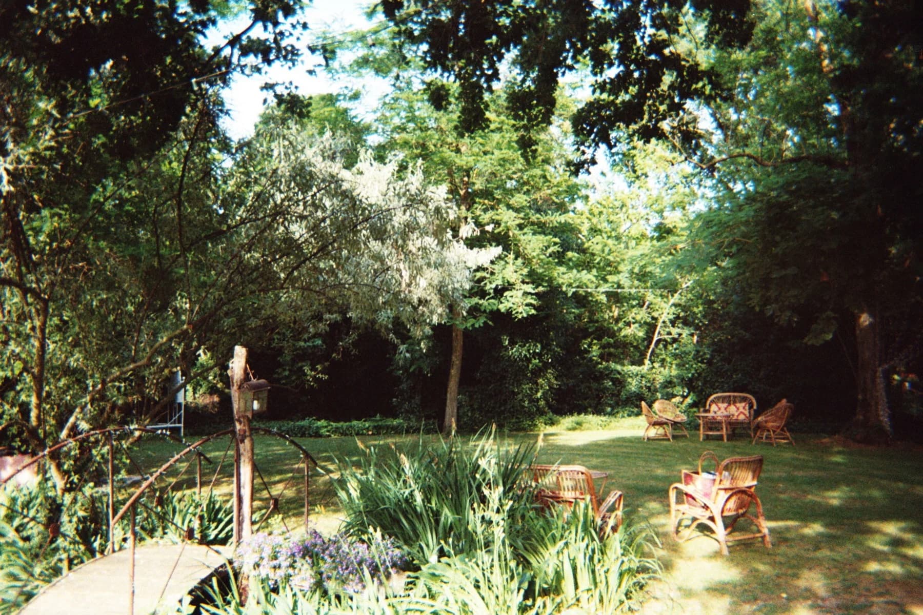 Fotografia analogica · Divenire 30 maggio 2026
